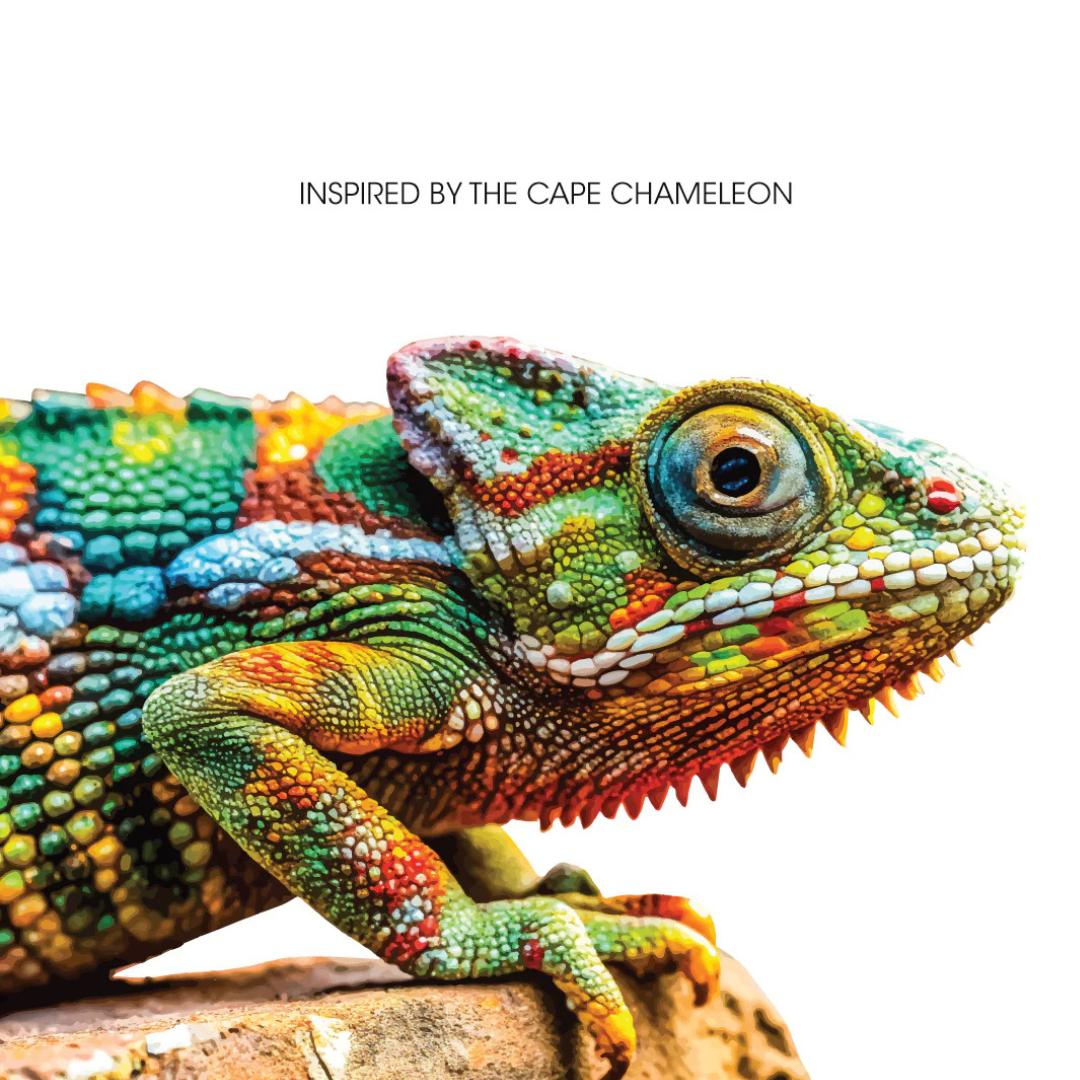 Cape Chameleon IPA By Darling Brew | Cape & Cane