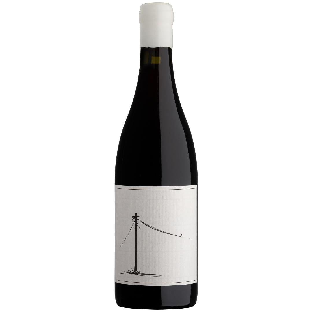 Savage - Follow The Line Cinsault 2025 | Cape & Cane